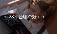 pc28平台哪个好（pc28软件哪里购买）